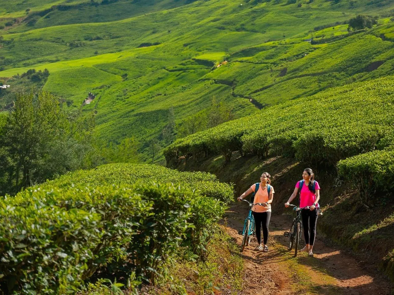 *****  Le Montfort Resort Munnar Índia